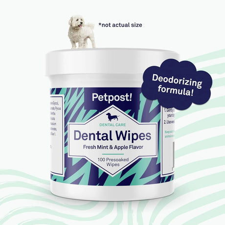 PETPOST - Petpost Dental Wipes for Dogs 100 Toallitas - The Red Vitamin MX - Cuidado Dental Para Perros - {{ shop.shopifyCountryName }}