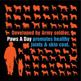 Paws A Day Glucosamine for Dogs Hip & Joint Supplement 60 Masticables