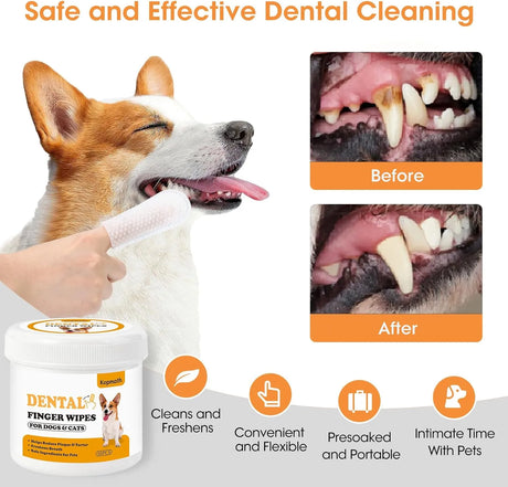 KOPMATH - Kopmath Dog Dental Wipes Unscented 50 Toallitas 2 Pack - The Red Vitamin MX - Cuidado Dental Para Perros - {{ shop.shopifyCountryName }}
