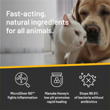 Absorbine Silver Honey Hot Spot & Wound Care Ointment for Dogs 2 Oz.