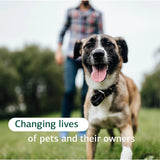 STANDARD PROCESS - Standard Process Inc. Canine Whole Body Support 25Gr. - The Red Vitamin MX - Multivitamínicos Para Perros - {{ shop.shopifyCountryName }}