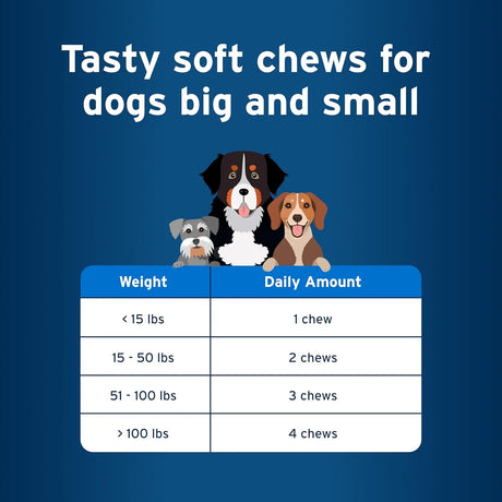 PET PROTECT - Pet Protect from The Makers of Advantage Vet-Formulated Daily Multivitamin for Dogs 60 Masticables - The Red Vitamin MX - Multivitamínicos Para Perros - {{ shop.shopifyCountryName }}