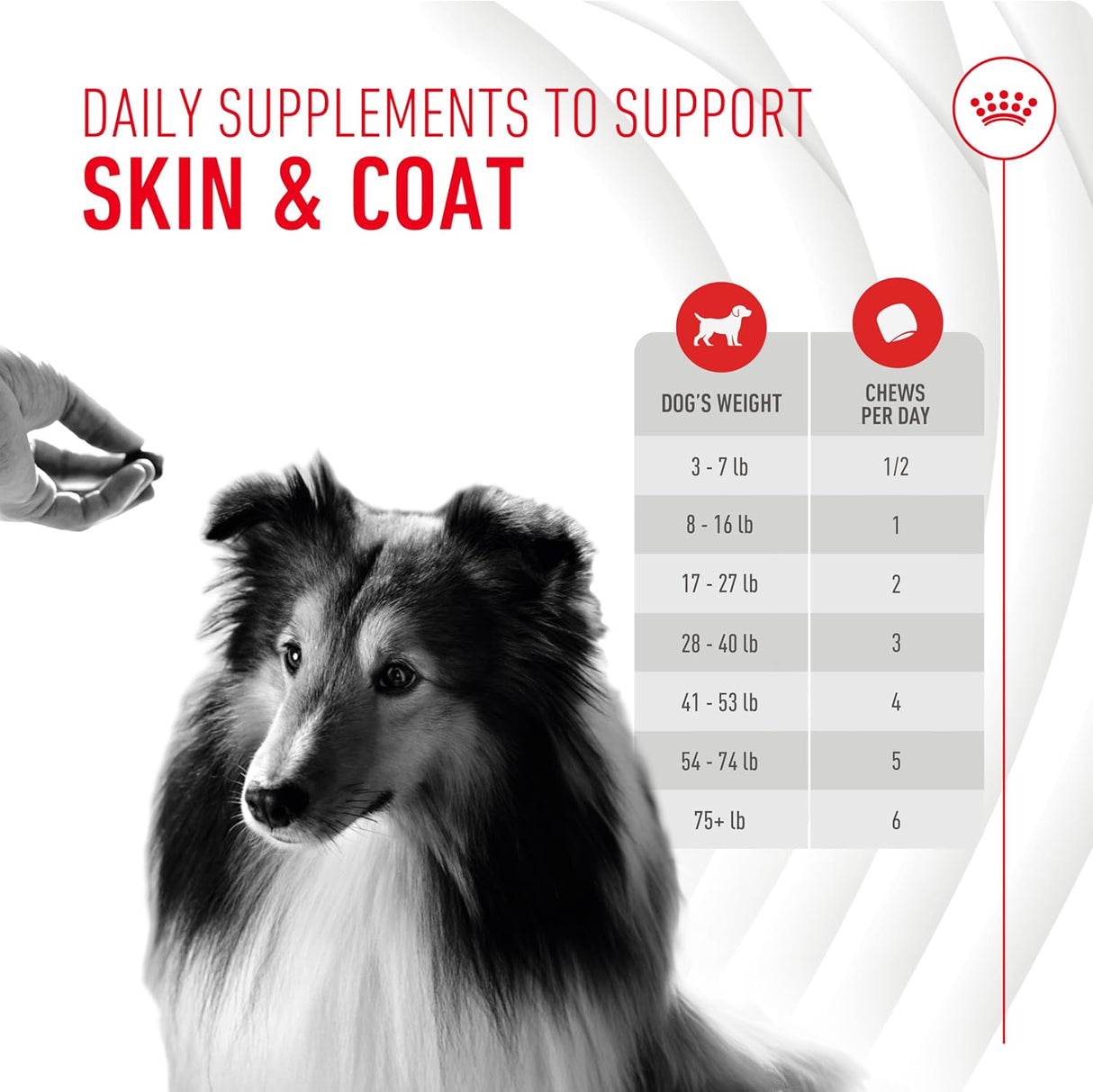 Royal Canin Skin & Coat Supplement Soft Chews for Adult Dogs 60 Masticables