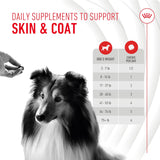 Royal Canin Skin & Coat Supplement Soft Chews for Adult Dogs 60 Masticables