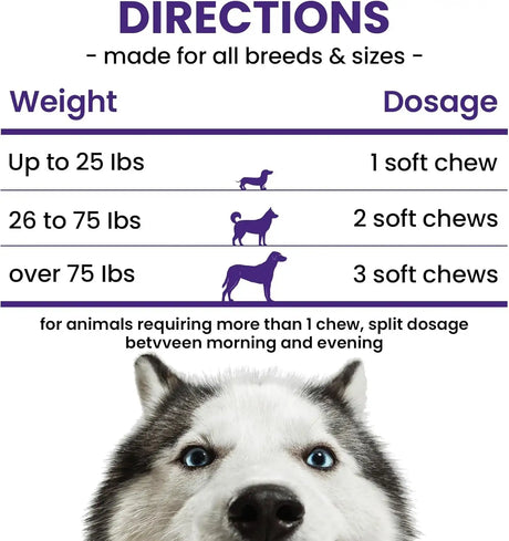 BUDDYCHEER - BuddyCheer Dog Allergy Skin Relief Chews for HotSpot & Dry Skin 180 Masticables - The Red Vitamin MX - Remedios Para La Picazón De Perros - {{ shop.shopifyCountryName }}