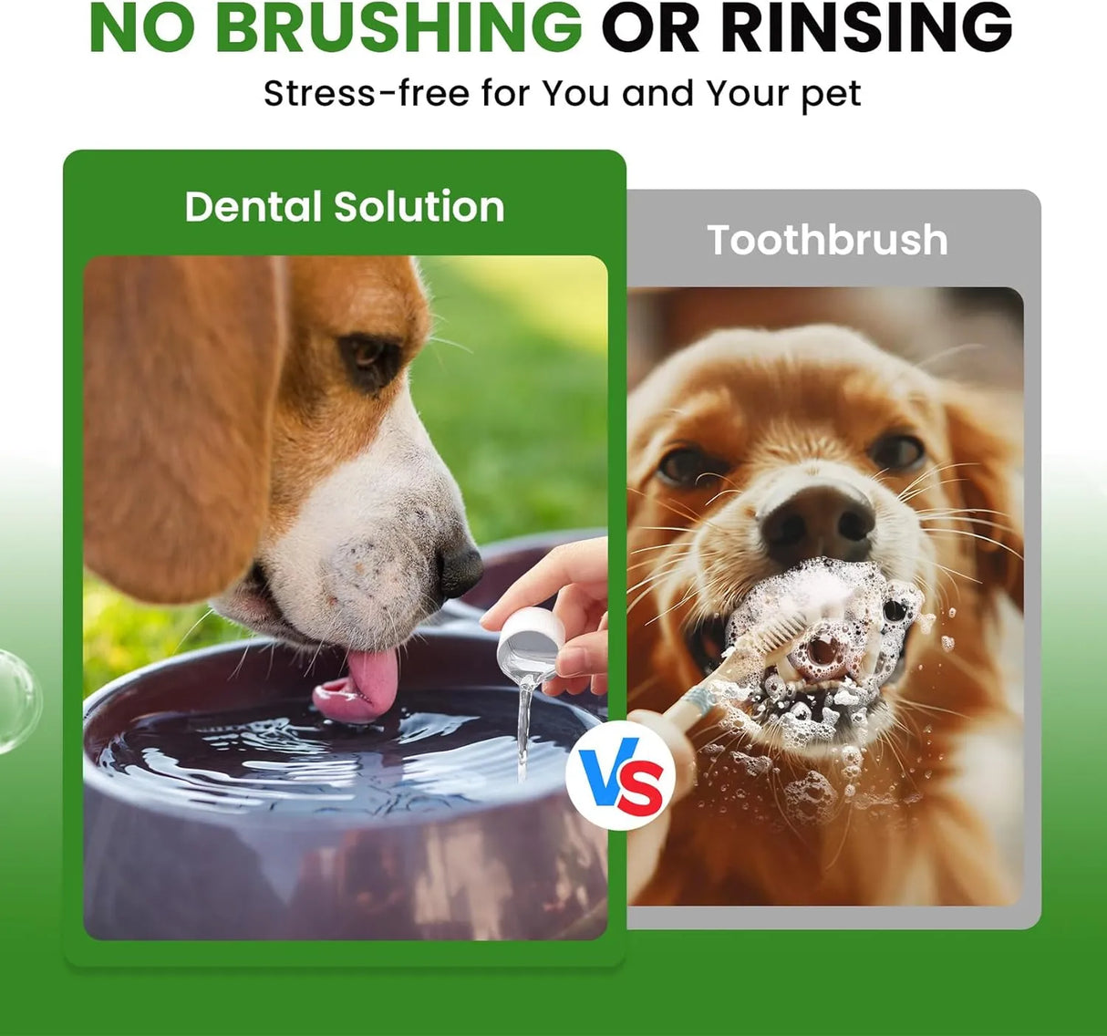 BUDDYCHEER - BuddyCheer Dog Breath Freshener 473Ml. - The Red Vitamin MX - Cuidado Dental Para Perros - {{ shop.shopifyCountryName }}