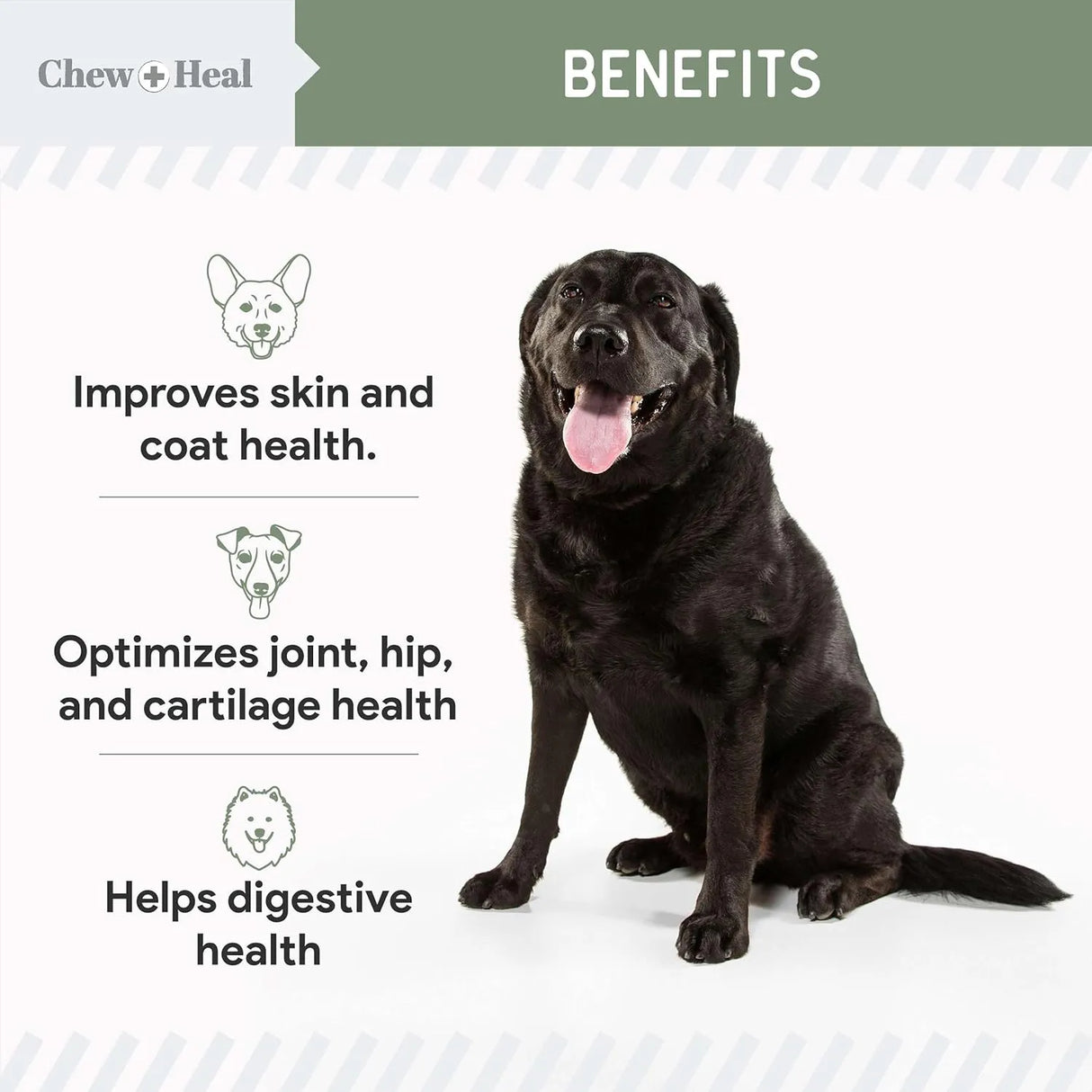 CHEW + HEAL - Chew + Heal All in 1 Dog Vitamins 120 Masticables - The Red Vitamin MX - Multivitamínicos Para Perros - {{ shop.shopifyCountryName }}