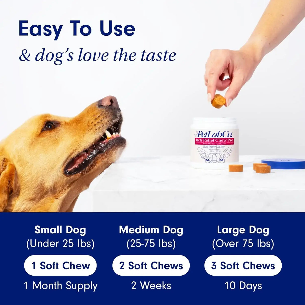 PETLAB CO. - PetLab Co. Salmon Itch Relief Chew Pro for Dogs 30 Masticables - The Red Vitamin MX - Remedios Para La Picazón De Perros - {{ shop.shopifyCountryName }}