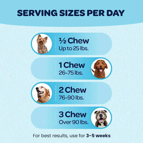 READY PET GO - Ready Pet Go! 12-in-1 Complete Multivitamin for Dogs 60 Masticables - The Red Vitamin MX - Multivitamínicos Para Perros - {{ shop.shopifyCountryName }}