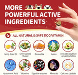 NATURE TARGET - NATURE TARGET Glucosamine with Chondroitin MSM for Dogs 120 Masticables - The Red Vitamin MX - Cuidado De Cadera Y Articulaciones Para Perros - {{ shop.shopifyCountryName }}