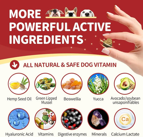 NATURE TARGET - NATURE TARGET Glucosamine with Chondroitin MSM for Dogs 120 Masticables - The Red Vitamin MX - Cuidado De Cadera Y Articulaciones Para Perros - {{ shop.shopifyCountryName }}