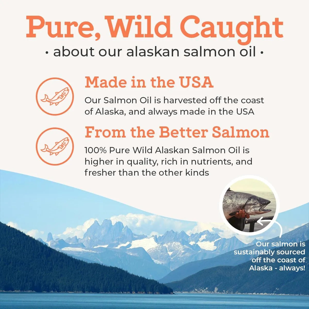 DR. JOSEPH'S - Dr. Joseph's VetPro Complete Pure Wild Alaskan Salmon Oil 16 Fl.Oz. - The Red Vitamin MX - Aceite De Pescado Para Perros - {{ shop.shopifyCountryName }}
