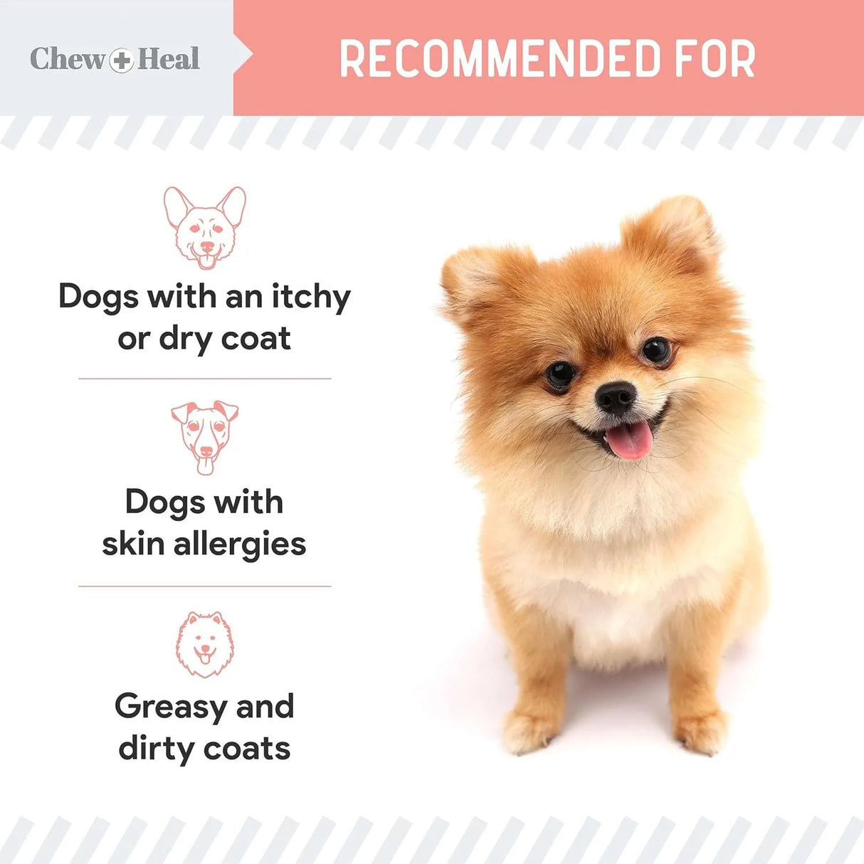 CHEW + HEAL - Chew + Heal Labs Wild Alaskan Salmon Fish Oil for Dogs 16 Fl.Oz. - The Red Vitamin MX - Aceite De Pescado Para Perros - {{ shop.shopifyCountryName }}