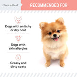 CHEW + HEAL - Chew + Heal Labs Wild Alaskan Salmon Fish Oil for Dogs 32 Fl.Oz. - The Red Vitamin MX - Aceite De Pescado Para Perros - {{ shop.shopifyCountryName }}