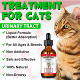 Oimmal Urinary Tract for Cats 60Ml.