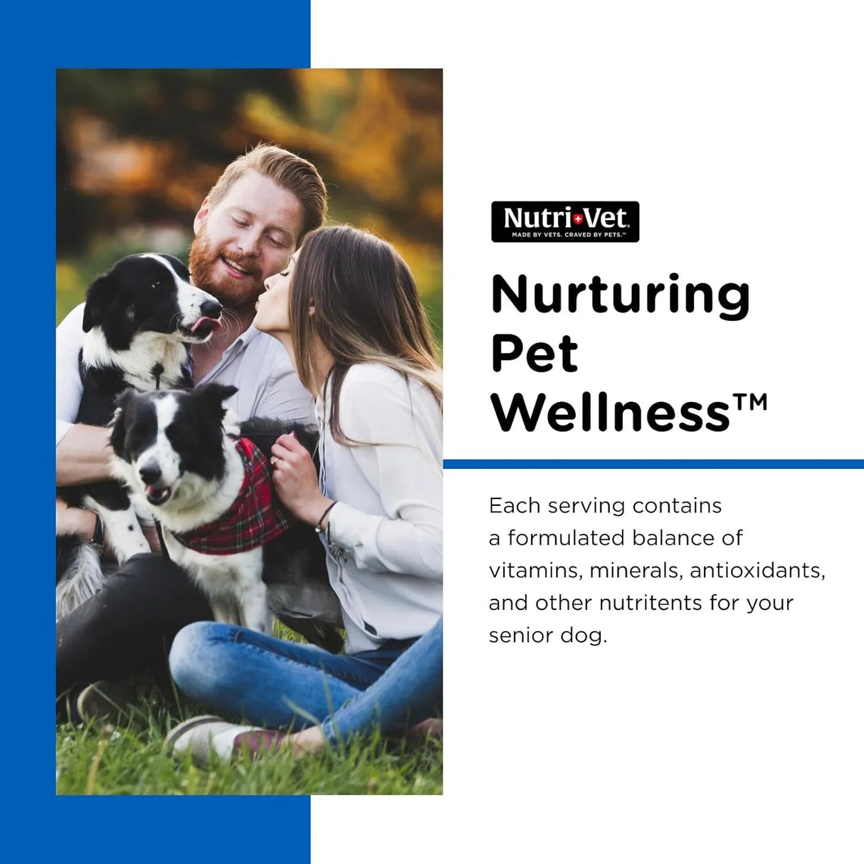 NUTRI-VET - Nutri-Vet Senior-Vite Chewables for Dogs 120 Masticables - The Red Vitamin MX - Multivitamínicos Para Perros - {{ shop.shopifyCountryName }}