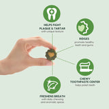 ARK NATURALS - Ark Naturals Soft Brushless Toothpaste for Large Breeds 508Gr. - The Red Vitamin MX - Cuidado Dental Para Perros - {{ shop.shopifyCountryName }}