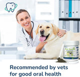 COZYFUN - Cozyfun Dental Powder 80Gr. - The Red Vitamin MX - Cuidado Dental Para Perros - {{ shop.shopifyCountryName }}