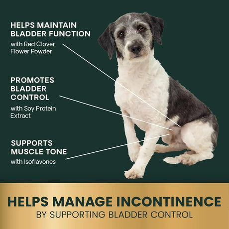 VETRISCIENCE - VETRISCIENCE Bladder Health Chews Chicken 60 Masticables - The Red Vitamin MX - Salud De Tracto Urinario Para Perros - {{ shop.shopifyCountryName }}