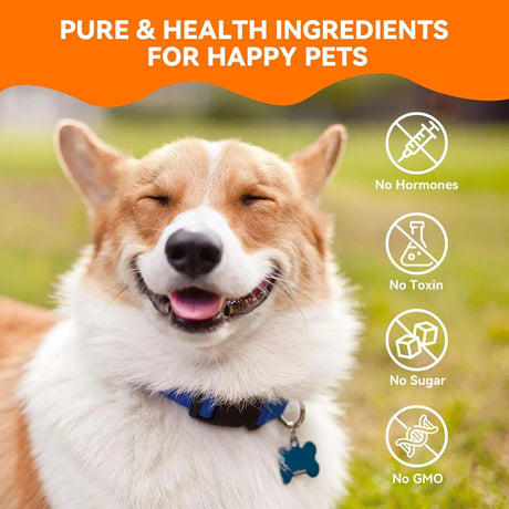 PUAINTA - PUAINTA Multivitamin Dog Supplement 12-in-1 Vitamins 200 Tabletas - The Red Vitamin MX - Multivitamínicos Para Perros - {{ shop.shopifyCountryName }}