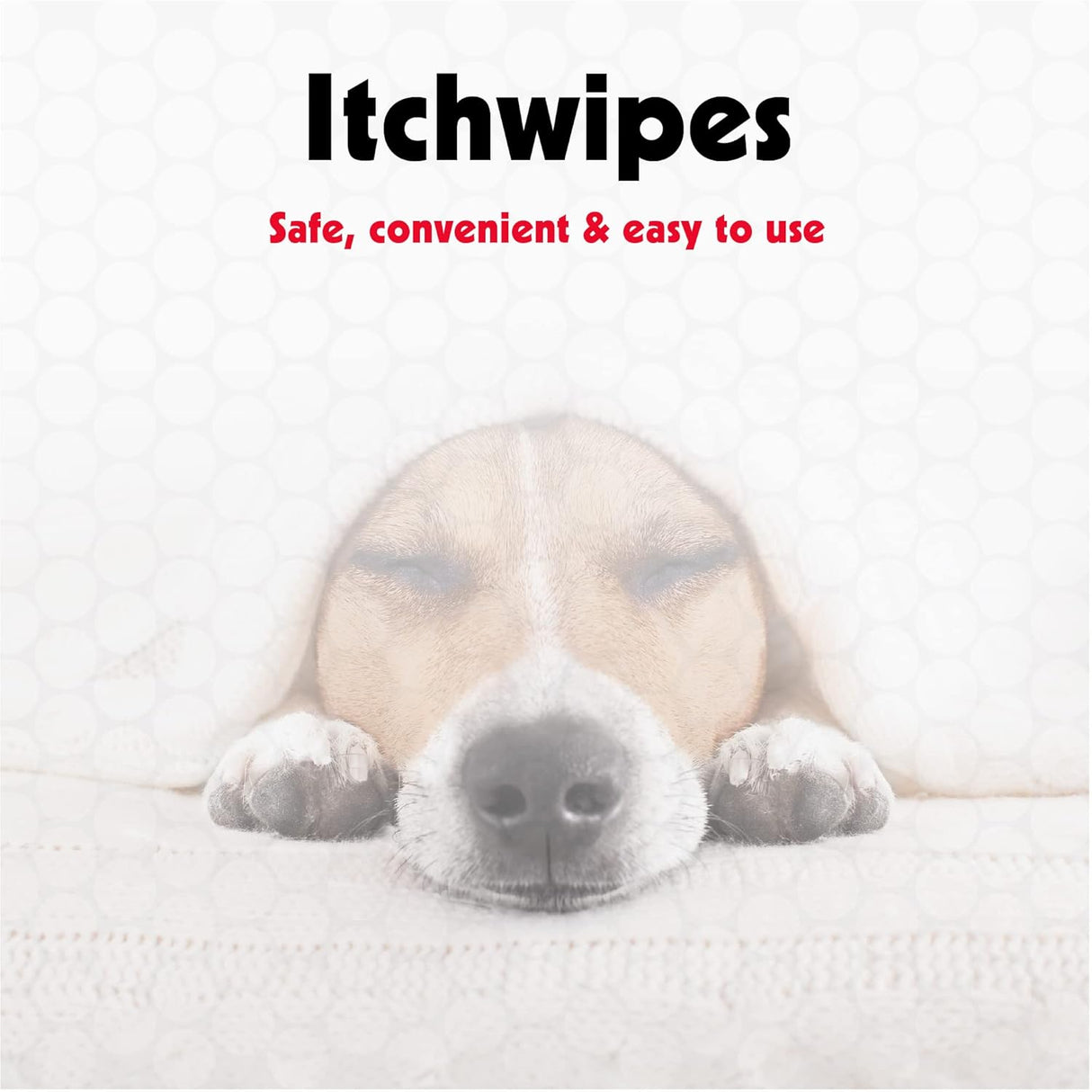 Petkin Anti Itch Wipes for Dogs and Cats 30 Toallitas 2 Pack