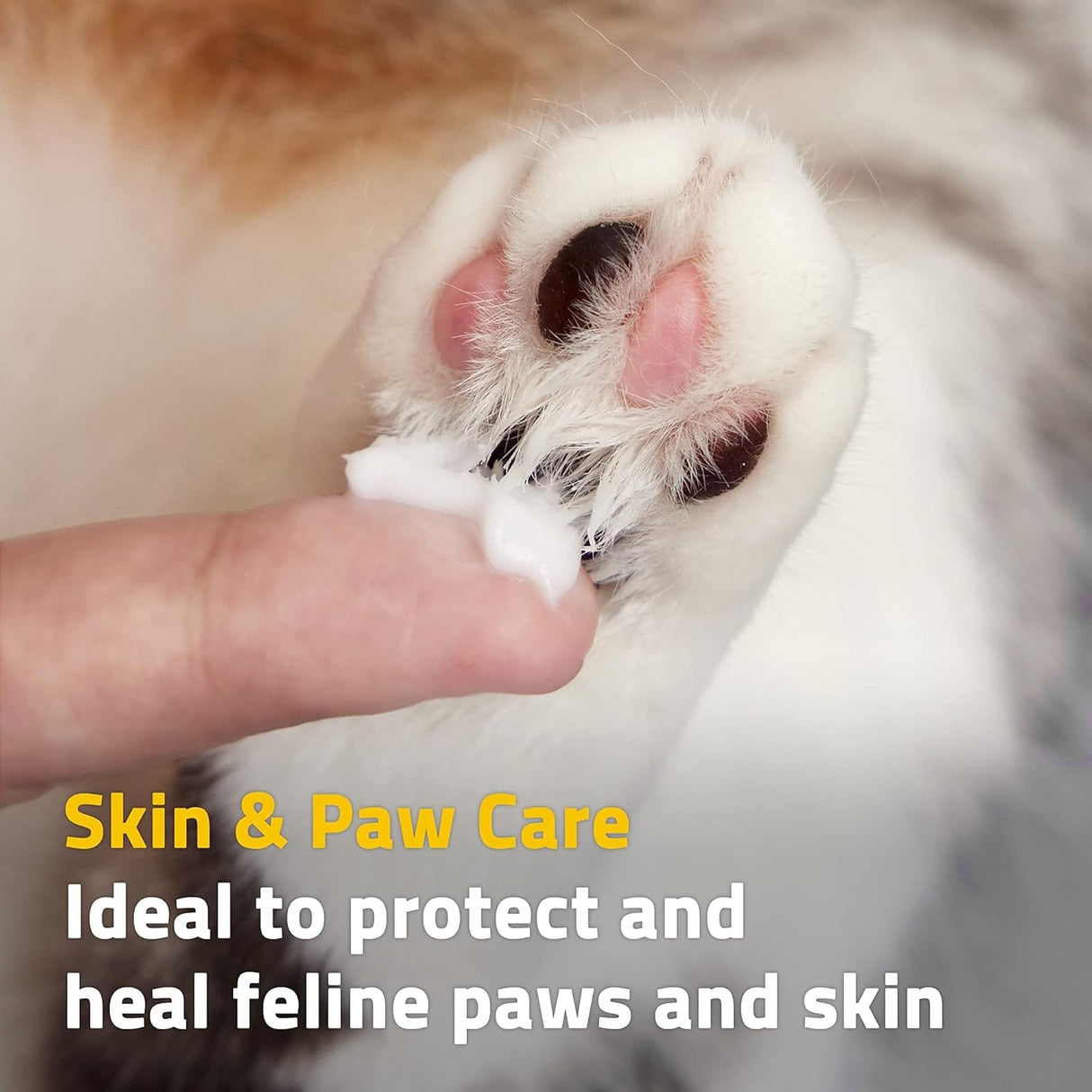 Breezytail PetO'CERA Cat Cream Hair Loss & Itch Relief for Hot Spots Rashes Allergies & Dry Skin 40Ml. 2 Pack