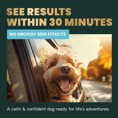 VETRISCIENCE - VetriScience Long Lasting Calm & Confident Calming Chews Bacon 120 Masticables - The Red Vitamin MX - Relajantes Para Perros - {{ shop.shopifyCountryName }}