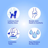 CLUB HACHIKO - Club Hachiko Salmon & Pollock Oil for Dogs & Cats 16 Fl.Oz. - The Red Vitamin MX - Aceite De Pescado Para Perros - {{ shop.shopifyCountryName }}