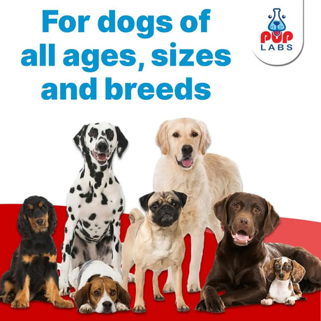PUP LABS - Pup Labs Freedom Joint Chews 30 Masticables - The Red Vitamin MX - Cuidado De Cadera Y Articulaciones Para Perros - {{ shop.shopifyCountryName }}