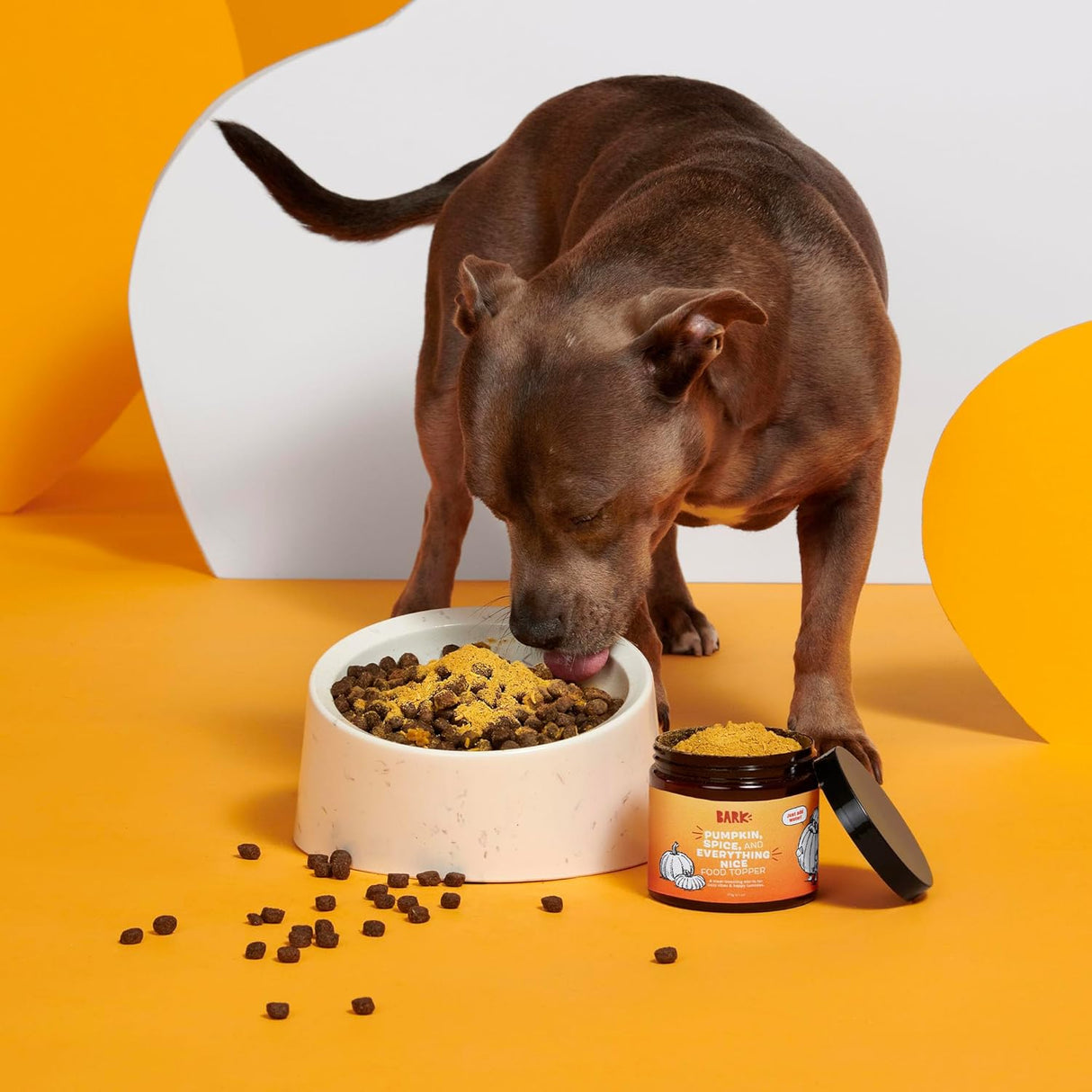 Barkbox Pumpkin Spice Digestive Food Topper Broth Powder 173Gr.