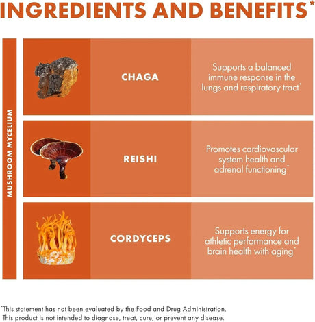HOST DEFENSE - Host Defense Breathe Immune & Respiratory Support 60 Capsulas - The Red Vitamin MX - Suplementos Alimenticios - {{ shop.shopifyCountryName }}