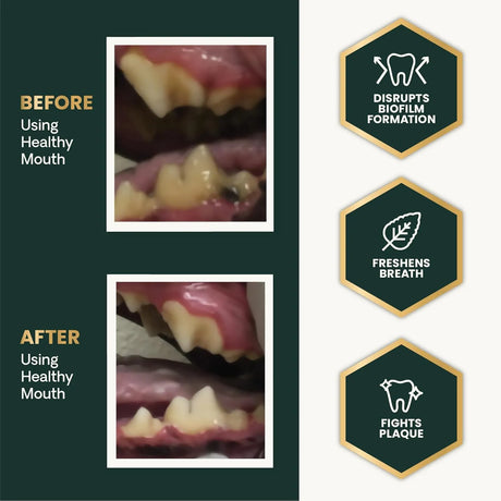 VETRISCIENCE - VetriScience Healthy Mouth Dog Dental Powder 120Gr. - The Red Vitamin MX - Cuidado Dental Para Perros - {{ shop.shopifyCountryName }}