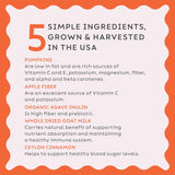 Super Snouts Pumpkin Latte Digestive Supplement for Dogs 142Gr.