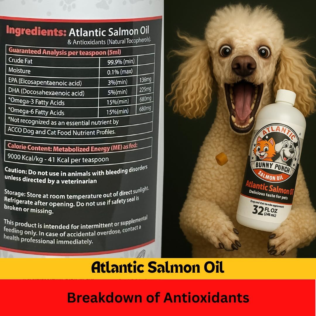 BUNNY PUNCH Salmon Oil for Dogs & Cats 32 Fl.Oz.