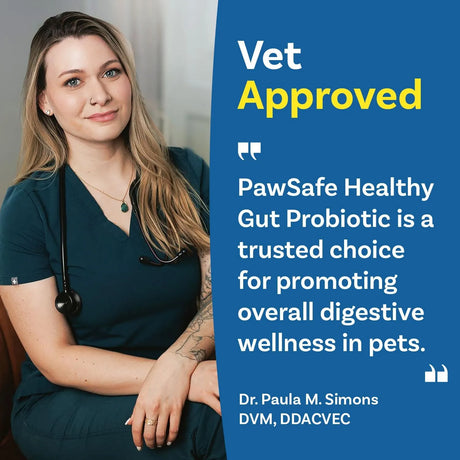PAWSAFE - PawSafe Dog Probiotics Honey Chicken Flavor 120 Masticables - The Red Vitamin MX - Probióticos Para Perros - {{ shop.shopifyCountryName }}