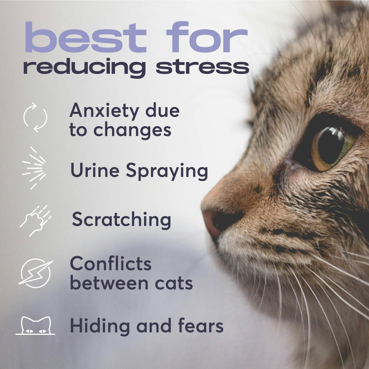 BUDDYJOY Cat Calming Diffuser Refills 3 Refills
