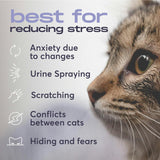 BUDDYJOY Cat Calming Diffuser Refills 3 Refills