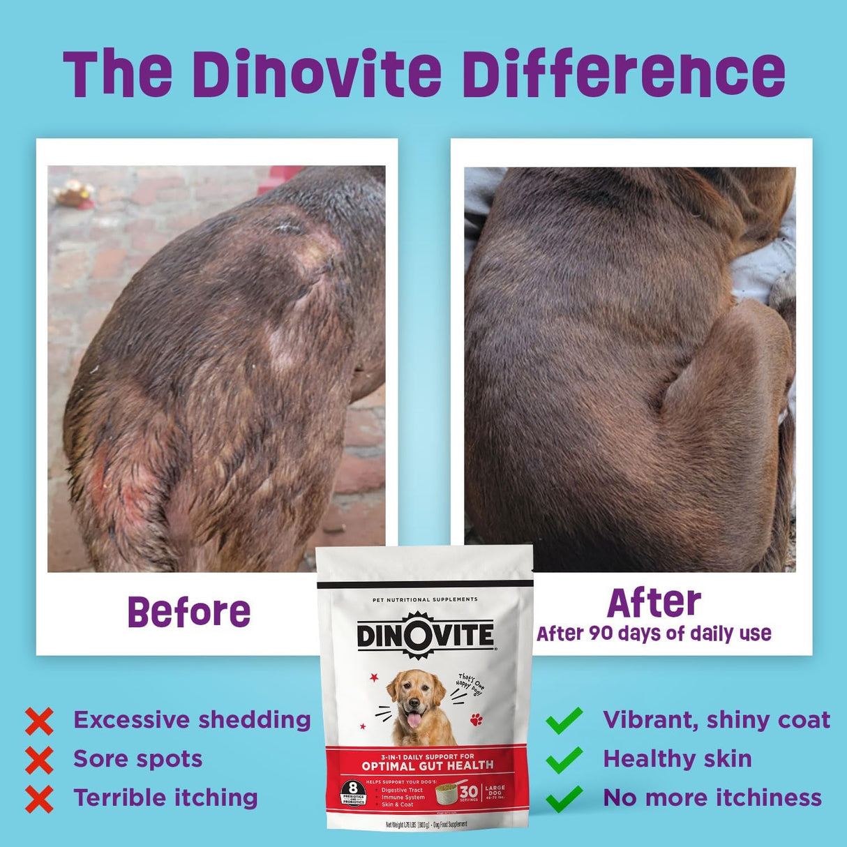 Dinovite Probiotic Supplement for Large Dogs 30 Servicios 800Gr.