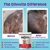 Dinovite Probiotic Supplement for Large Dogs 30 Servicios 800Gr.