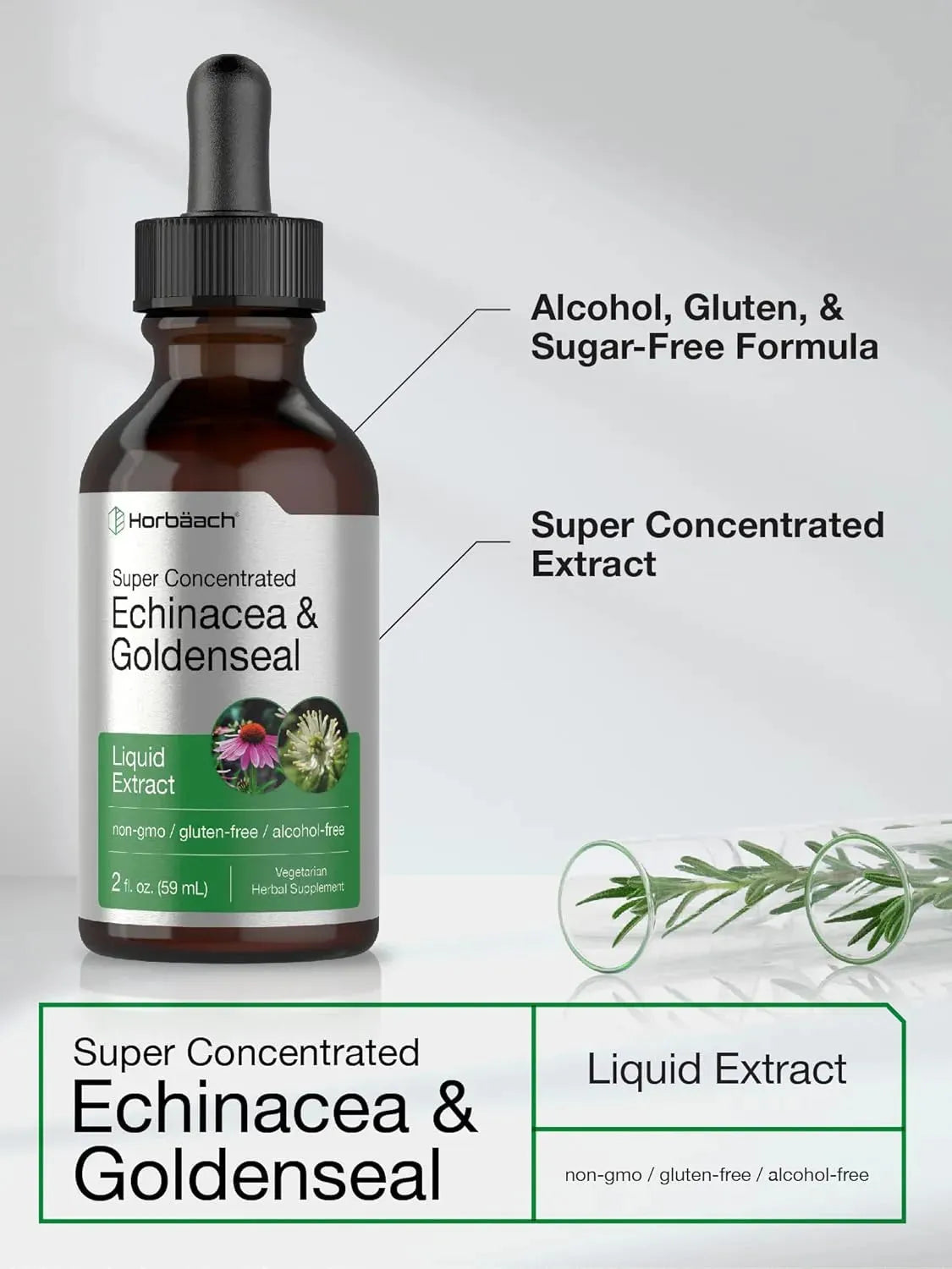 HORBAACH - Horbaach Echinacea Goldenseal Liquid Extract 2 Fl.Oz. - The Red Vitamin MX - Suplementos Alimenticios - {{ shop.shopifyCountryName }}