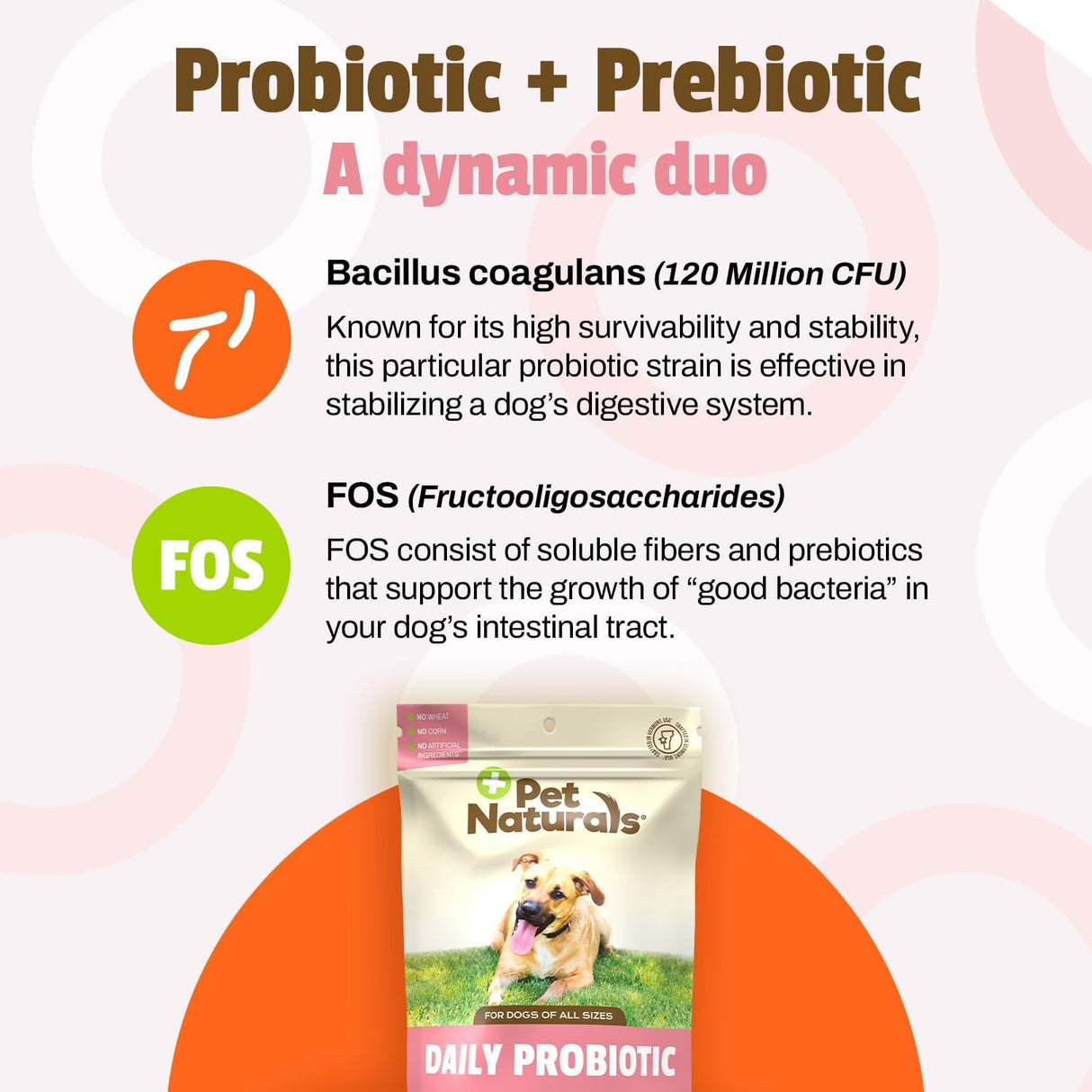 Pet Naturals Daily Probiotic for Dogs 160 Masticables