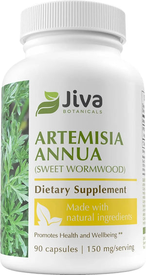 JIVA BOTANICALS - Jiva Botanicals Artemisia Annua Sweet Wormwood 150Mg. 90 Capsulas - The Red Vitamin MX - Suplementos Alimenticios - {{ shop.shopifyCountryName }}