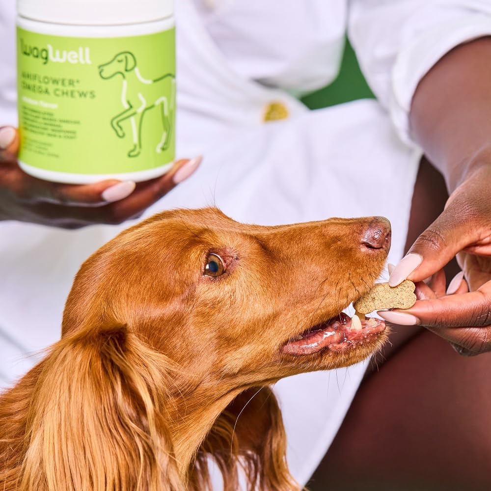 WagWell Ahiflower Omega Oil Dog Chews 60 Masticables