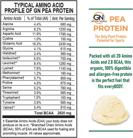 GROWING NATURALS - Growing Naturals Raw Pea Protein Powder Vanilla Blast 454Gr. - The Red Vitamin MX - Suplementos Alimenticios - {{ shop.shopifyCountryName }}