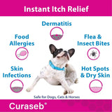 CURASEB - Curaseb Hydrocortisone Spray for Dogs & Cats 4 Fl.Oz. - The Red Vitamin MX - Remedios Para La Picazón De Perros - {{ shop.shopifyCountryName }}