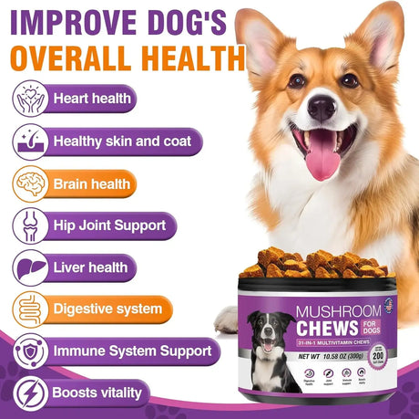 TTIXRL - TTIXRL Turkey Tail Mushroom for Dogs 200 Masticables - The Red Vitamin MX - Suplementos Herbales Para Perros - {{ shop.shopifyCountryName }}