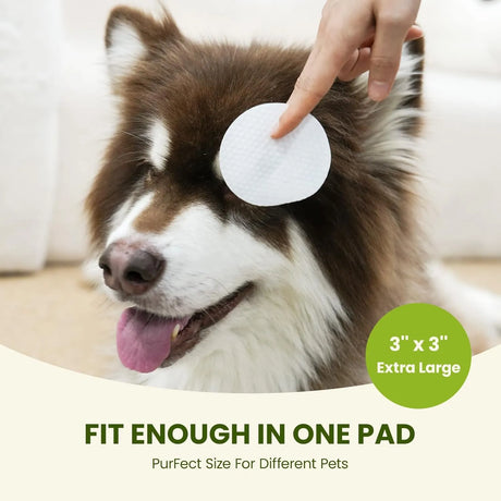 PAWSONO - PawSono Eye Wipes for Dogs & Cats Unscent 100 Toallitas 2 Pack - The Red Vitamin MX - Cuidado De Los Ojos De Los Perros - {{ shop.shopifyCountryName }}