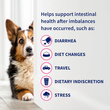 NUTRAMAX - Nutramax Proviable Probiotics for Dogs and Cats 30 Capsulas - The Red Vitamin MX - Probióticos Para Perros - {{ shop.shopifyCountryName }}
