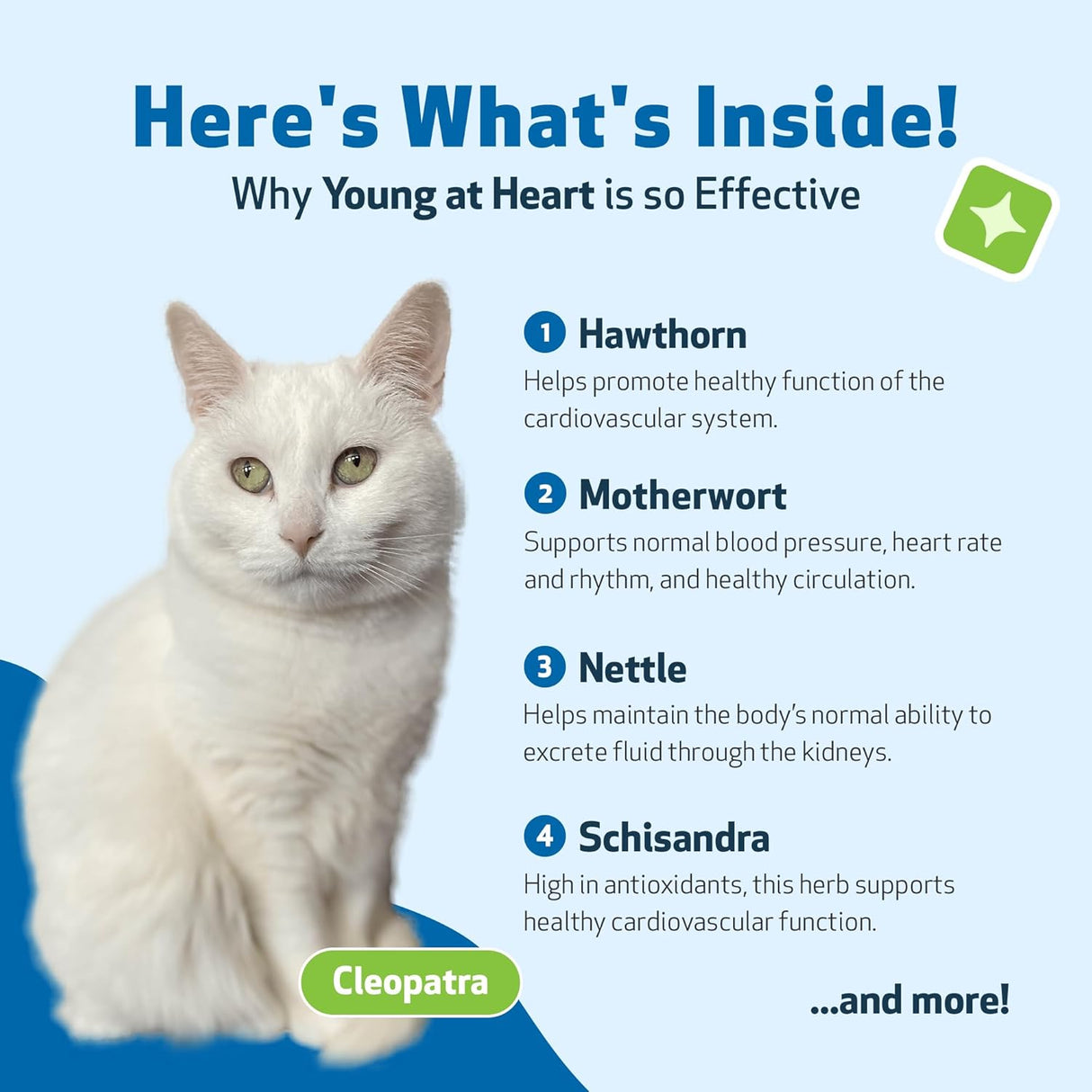 Pet Wellbeing Young at Heart for Cats 4 Fl.Oz.