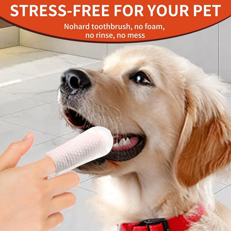 LMLMY - LMLMY Dental Finger Wipes for Cats & Dogs 50 Piezas - The Red Vitamin MX - Cuidado Dental Para Perros - {{ shop.shopifyCountryName }}